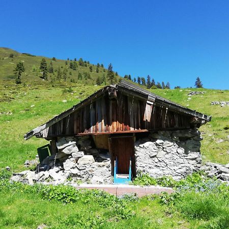 Appartment Moser Alpbach Εξωτερικό φωτογραφία