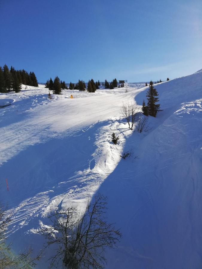 Appartment Moser Alpbach Εξωτερικό φωτογραφία